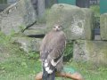IMGP0943.JPG